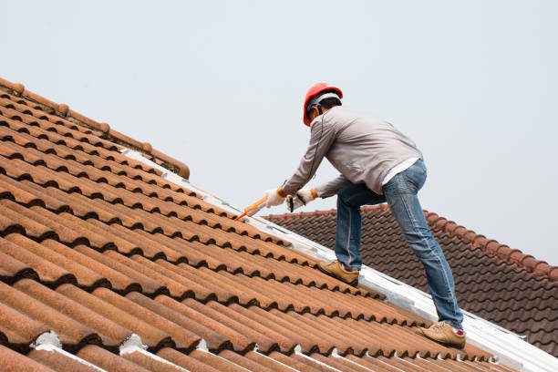 Best Roof Moss and Algae Removal  in Lithonia, GA
